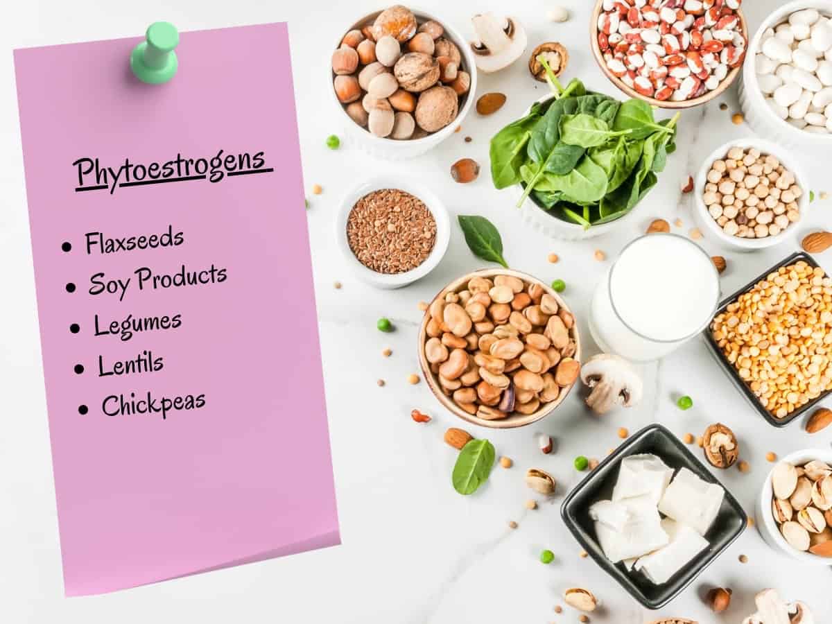 Seeds and Legumes Phytoestrogens with a note listing the different types of  Phytoestrogens